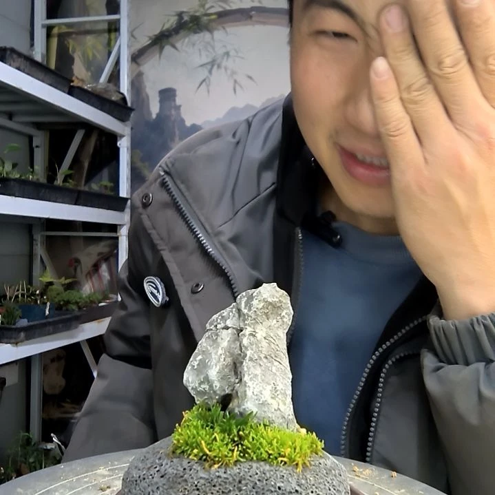 E***a小盆景小植物一物一拍31