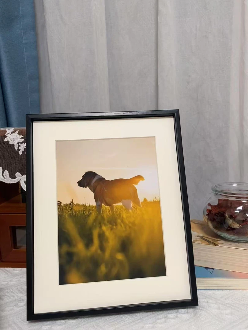 普通相册精品相册