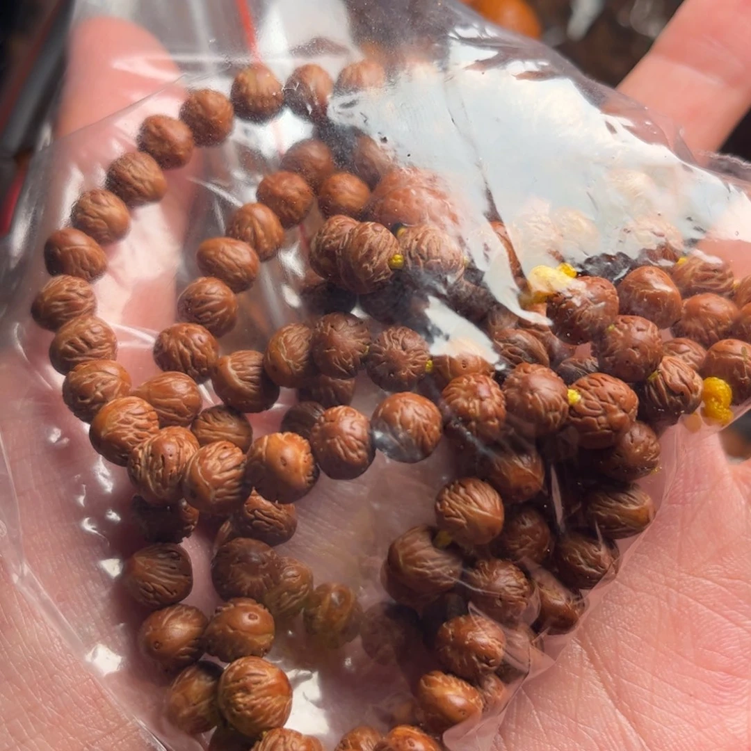 吊坠凤眼菩提大**泽凤眼