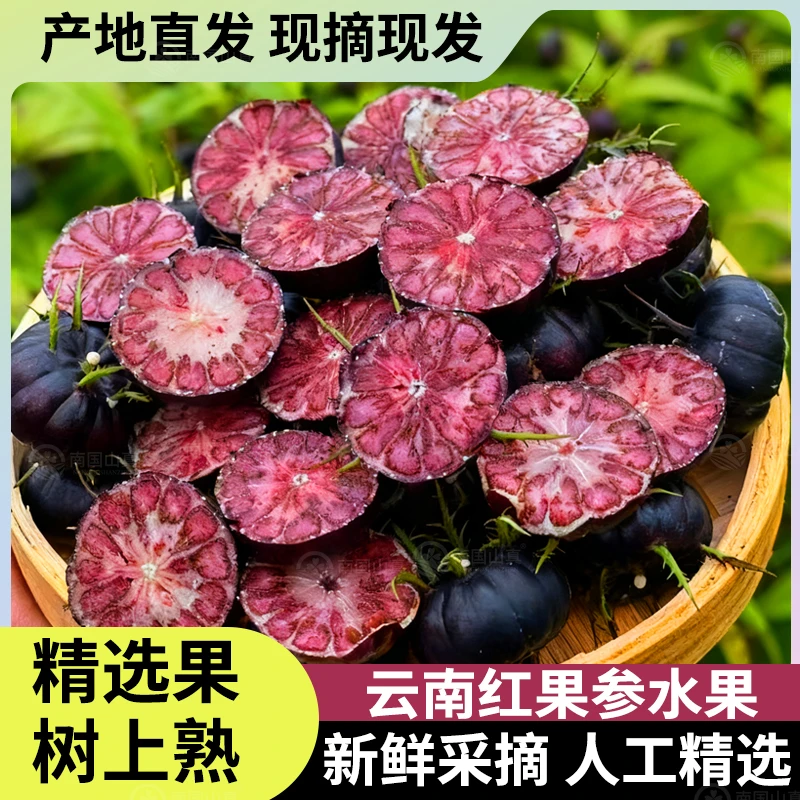 H云南高山红果参稀有水果水果蜘蛛果算盘果