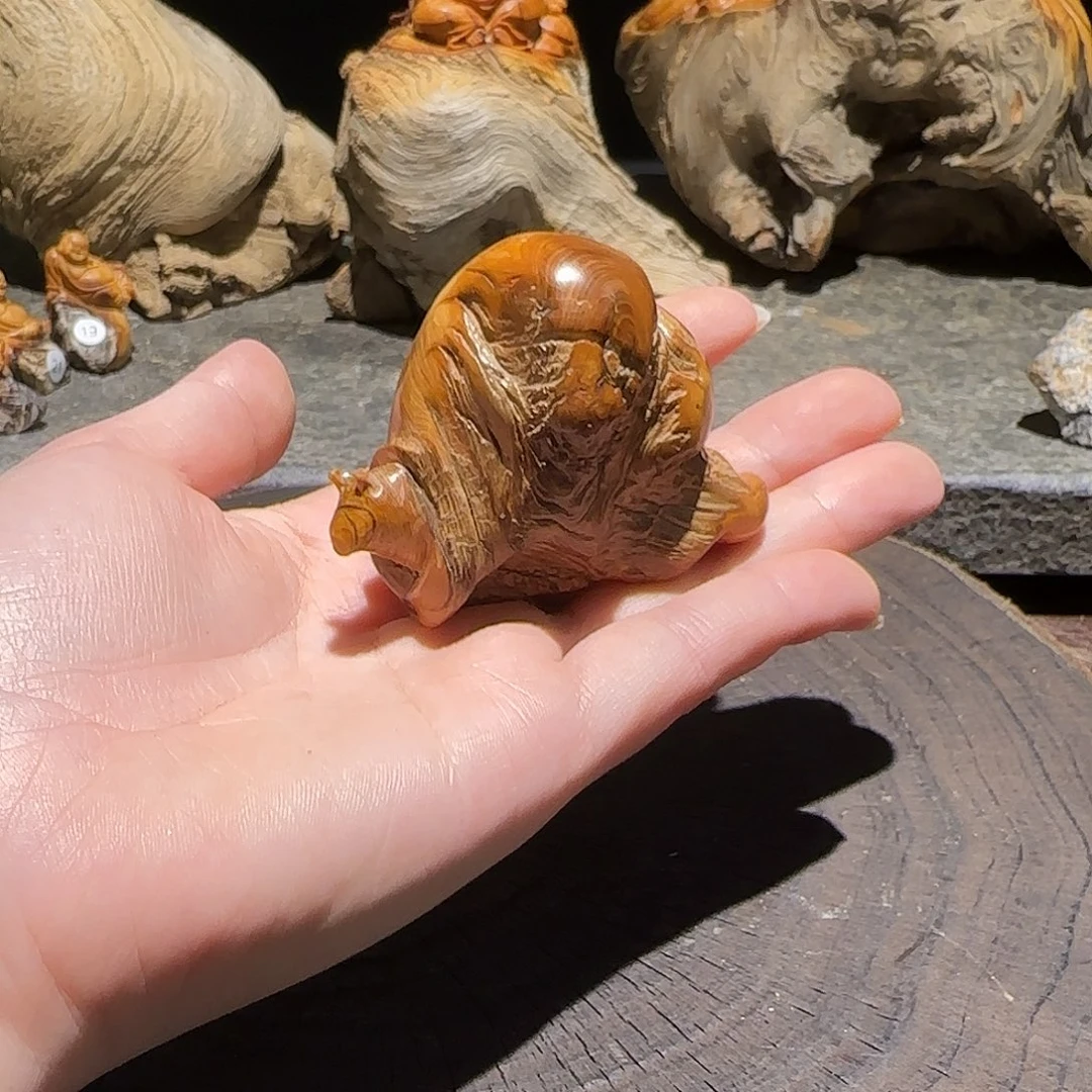 柏木（崖柏）太行集团