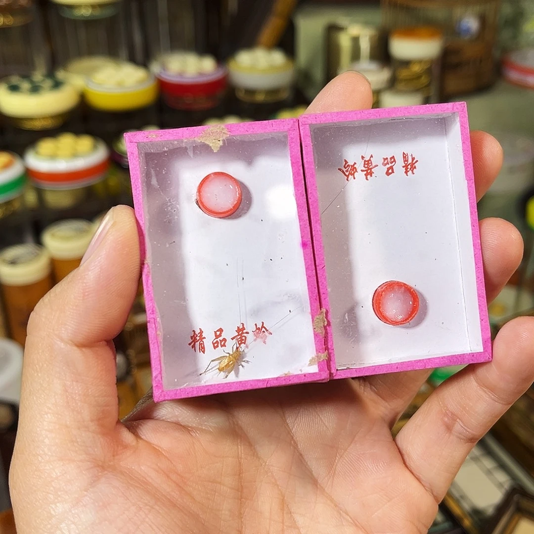 蟋蟀两只中黄蛉鸣虫