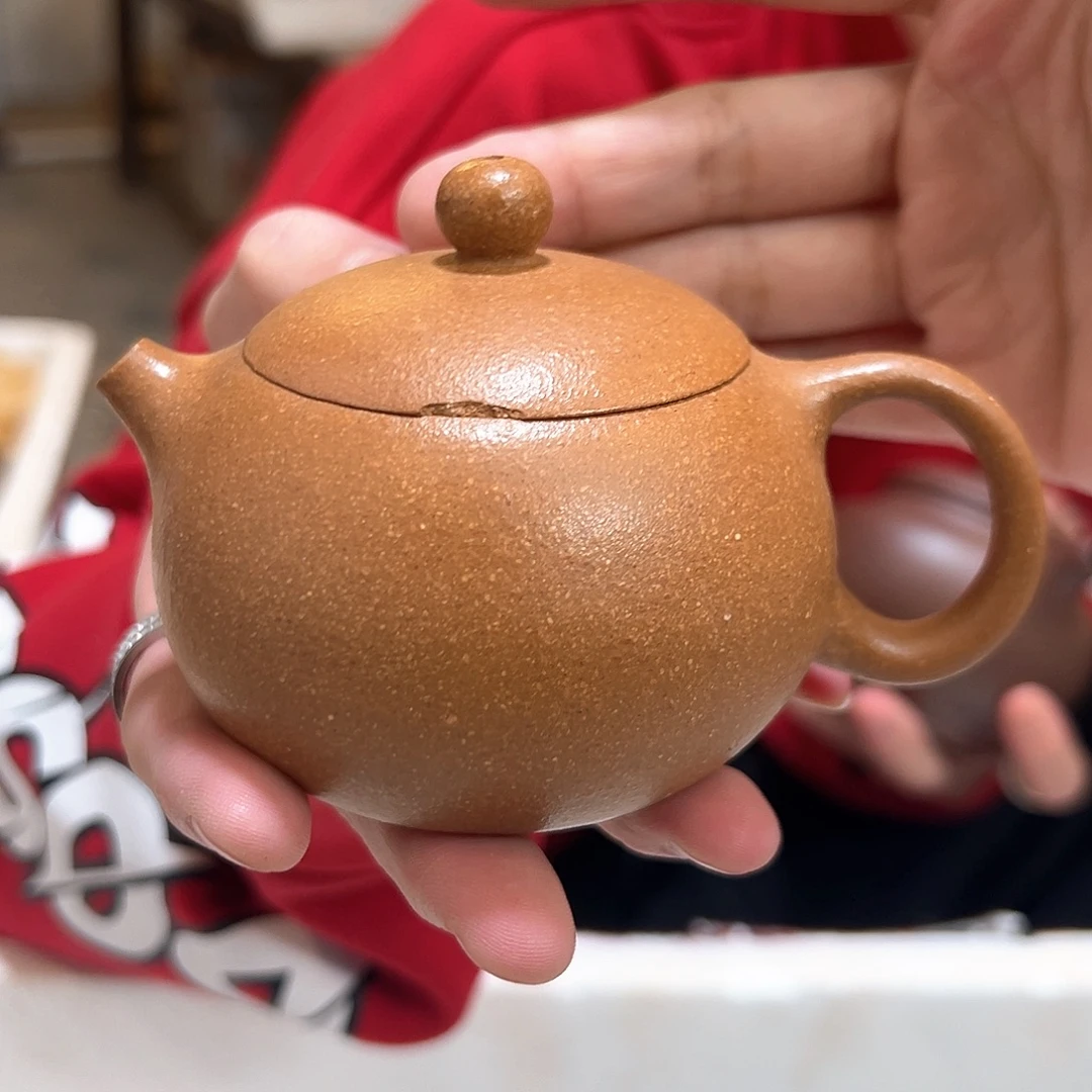 茶壶紫砂降坡西施盖磕