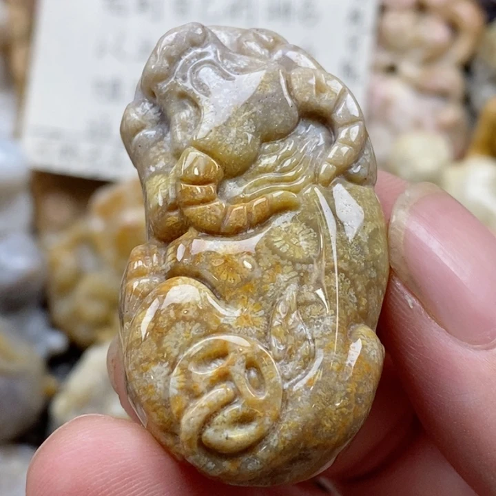 颈饰未镶嵌硅化珊瑚（珊瑚玉）