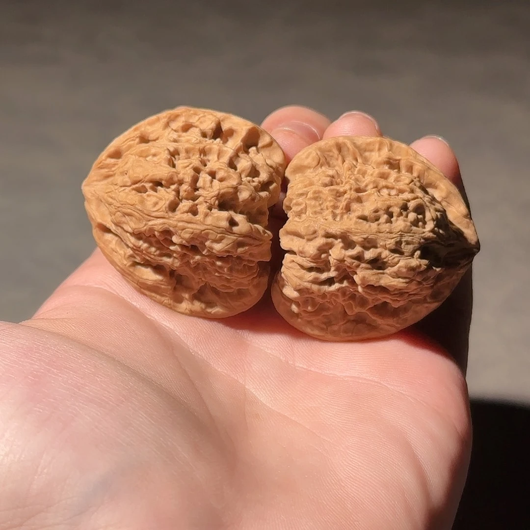 核桃40山地一代南疆