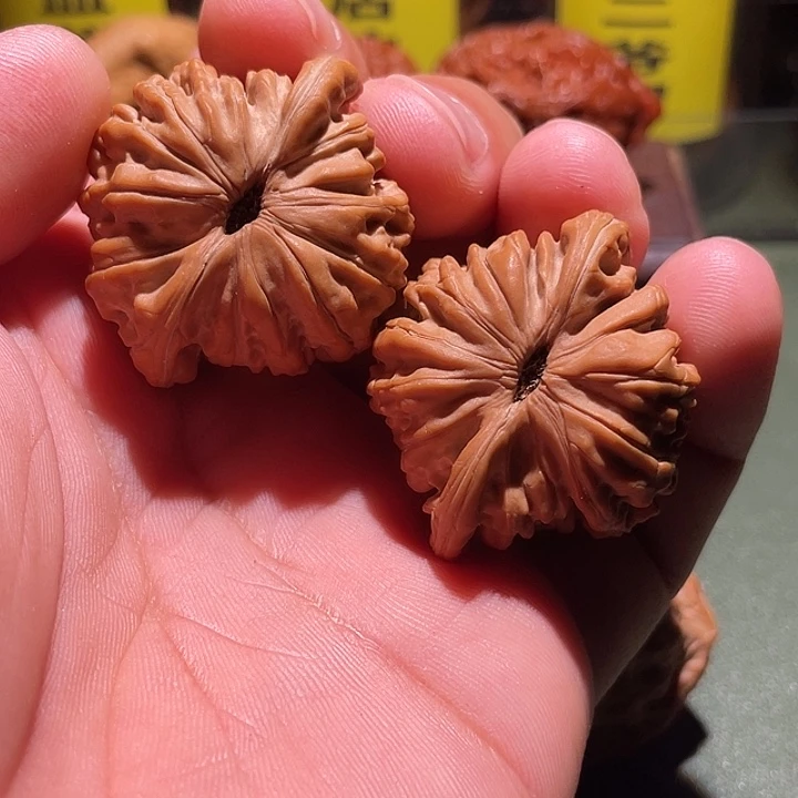 39加全品正桩汗高楼核桃