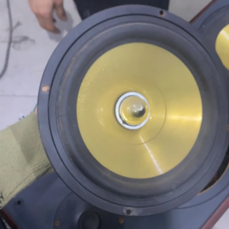 9新  八寸低音喇叭