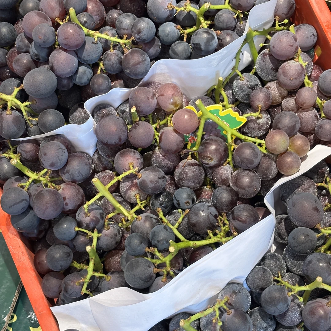 福安巨峰葡萄11.8元/二斤【兴国同城小时达】