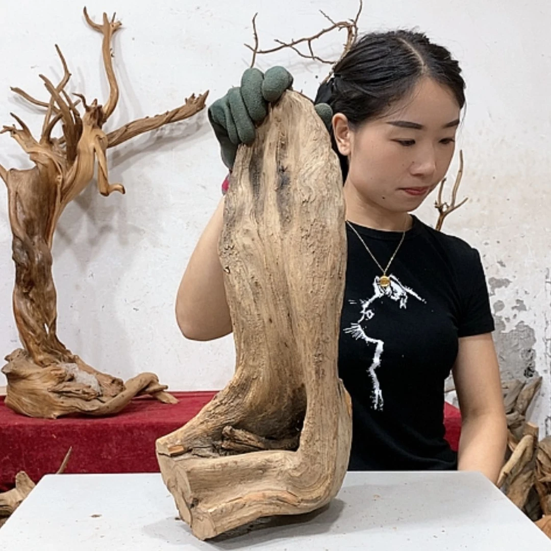 【闪购商品】柏木小*我们都是好孩子