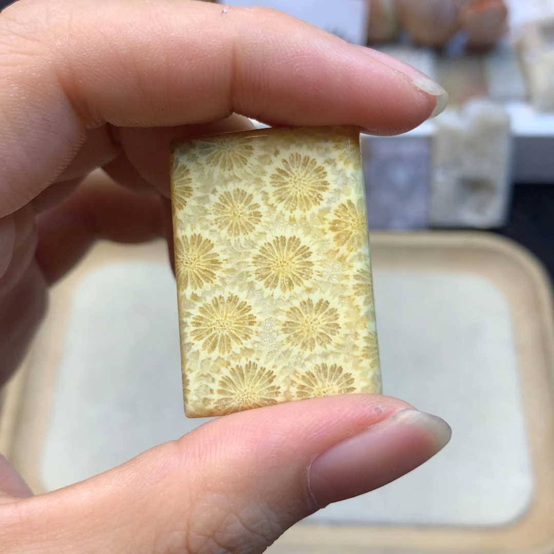 修***远硅化珊瑚（珊瑚玉）未镶嵌颈饰