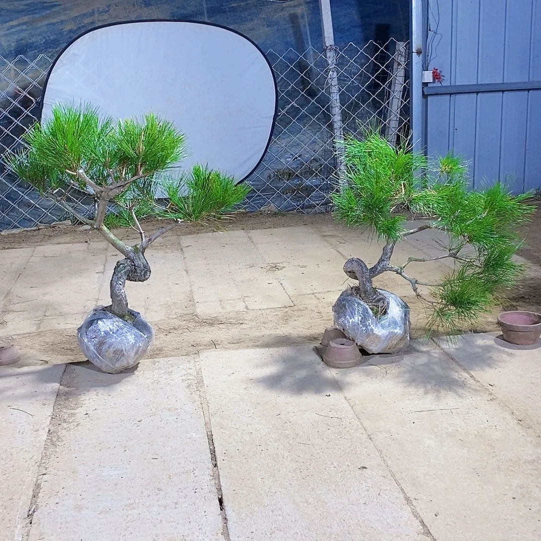 吃***刘完全开放11111111111