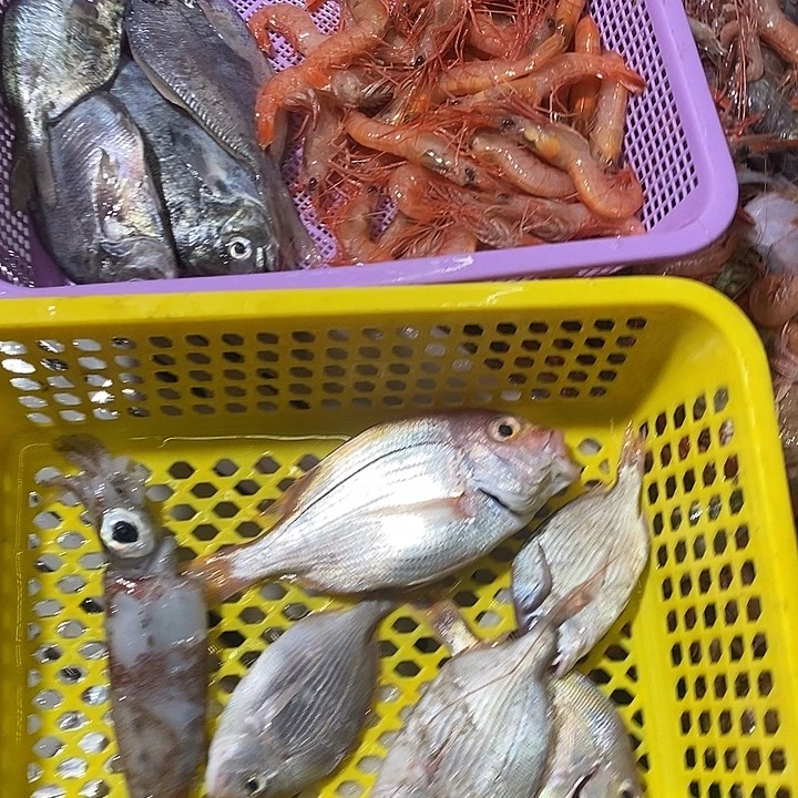 中国大陆海鲜4件套