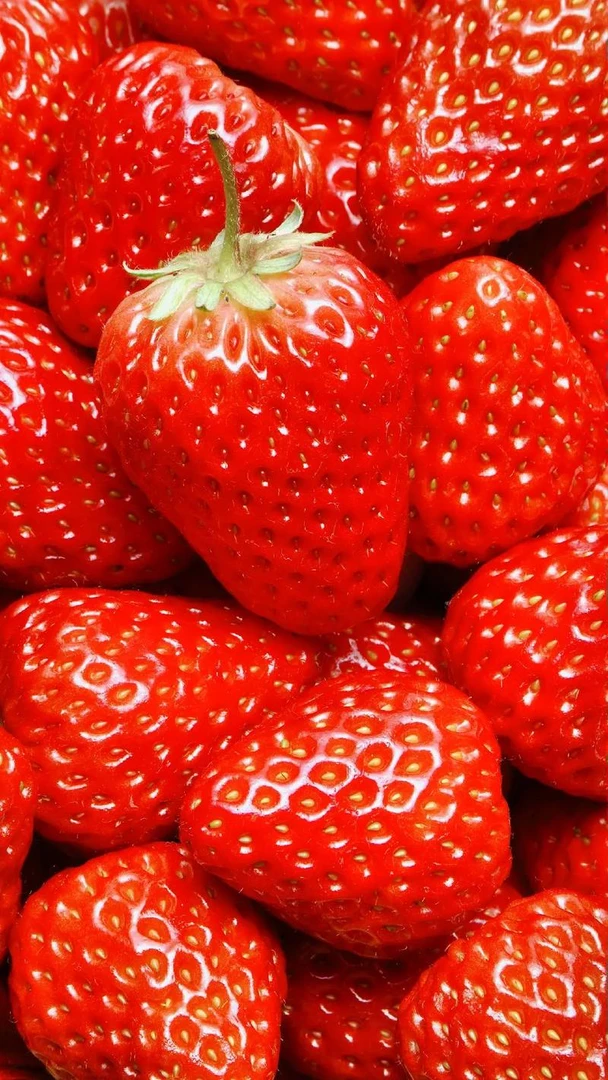 一盆牛奶草莓450克