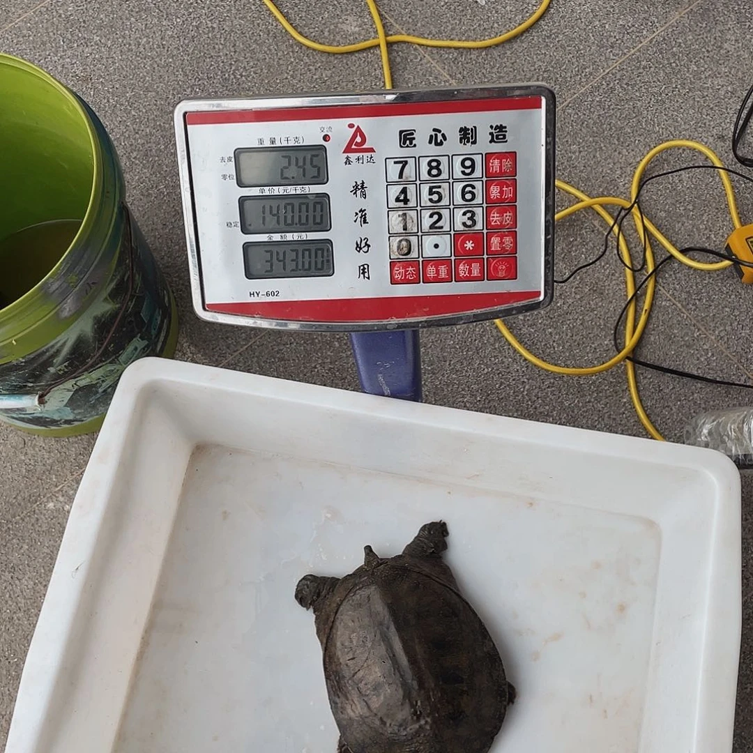 中国大陆4664755755745