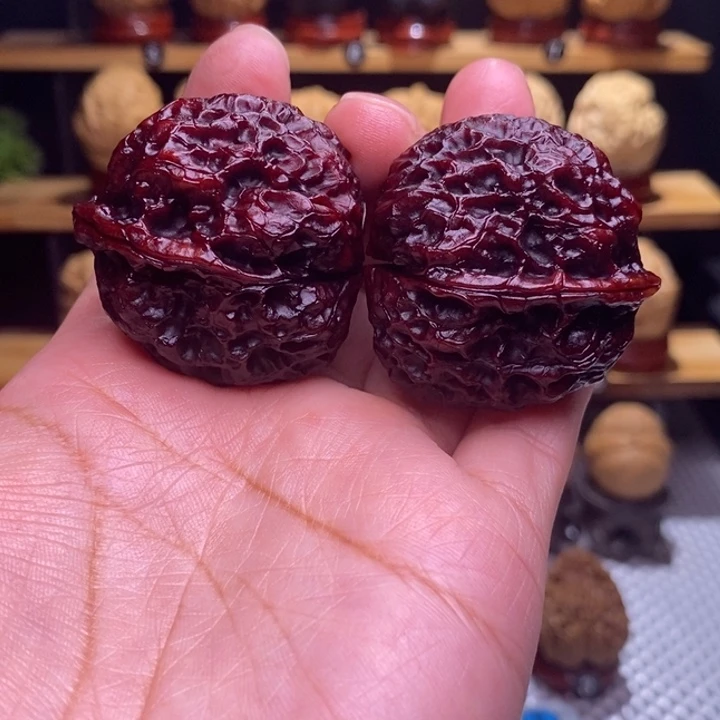 木质类云铁凤冠116号