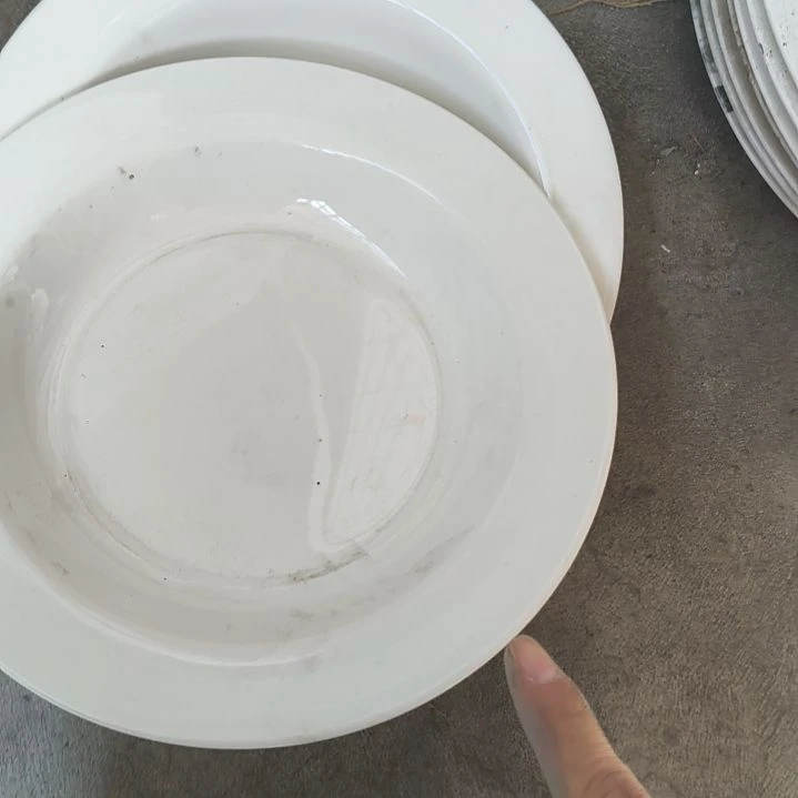 直径22.5的9寸深盘，天鹅两个