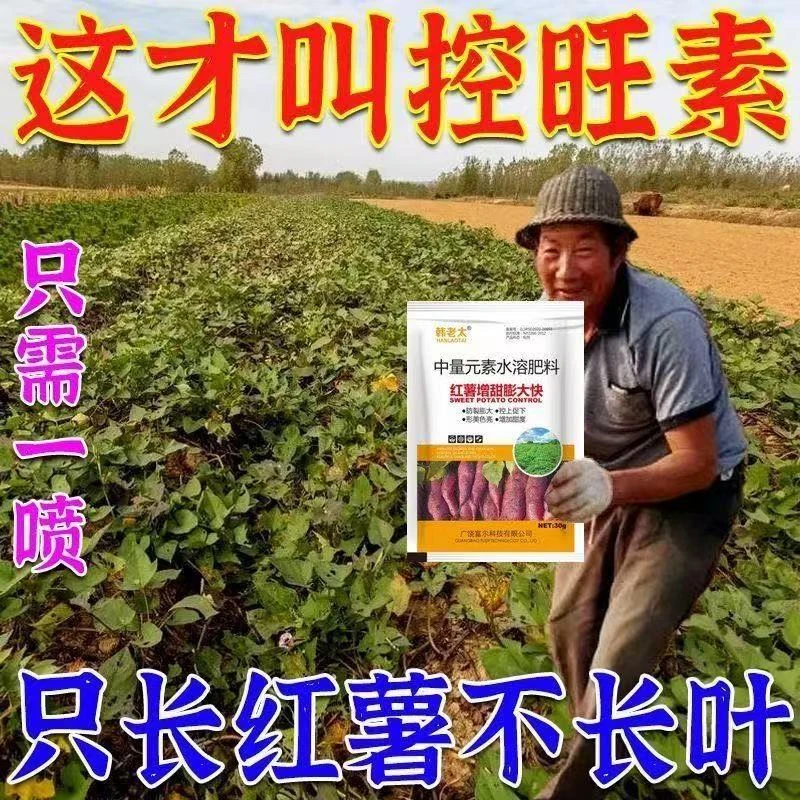 红薯专用控旺控制旺长保花保果膨大增产不早衰红薯控旺专用叶面肥