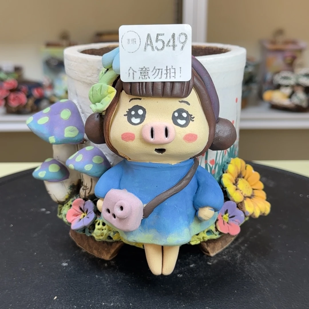 A549 【闪购】多肉花盆