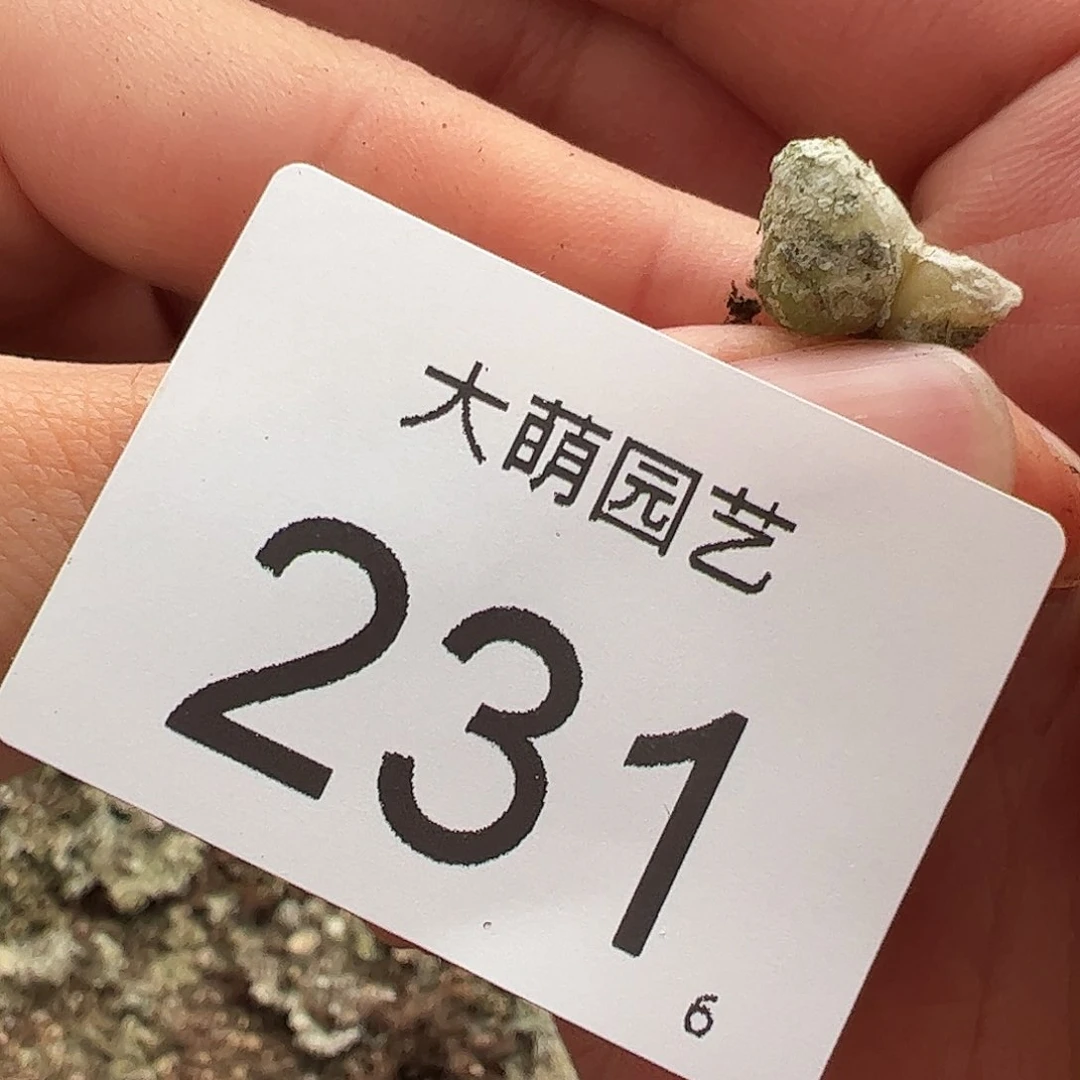 0000231 一物一拍……