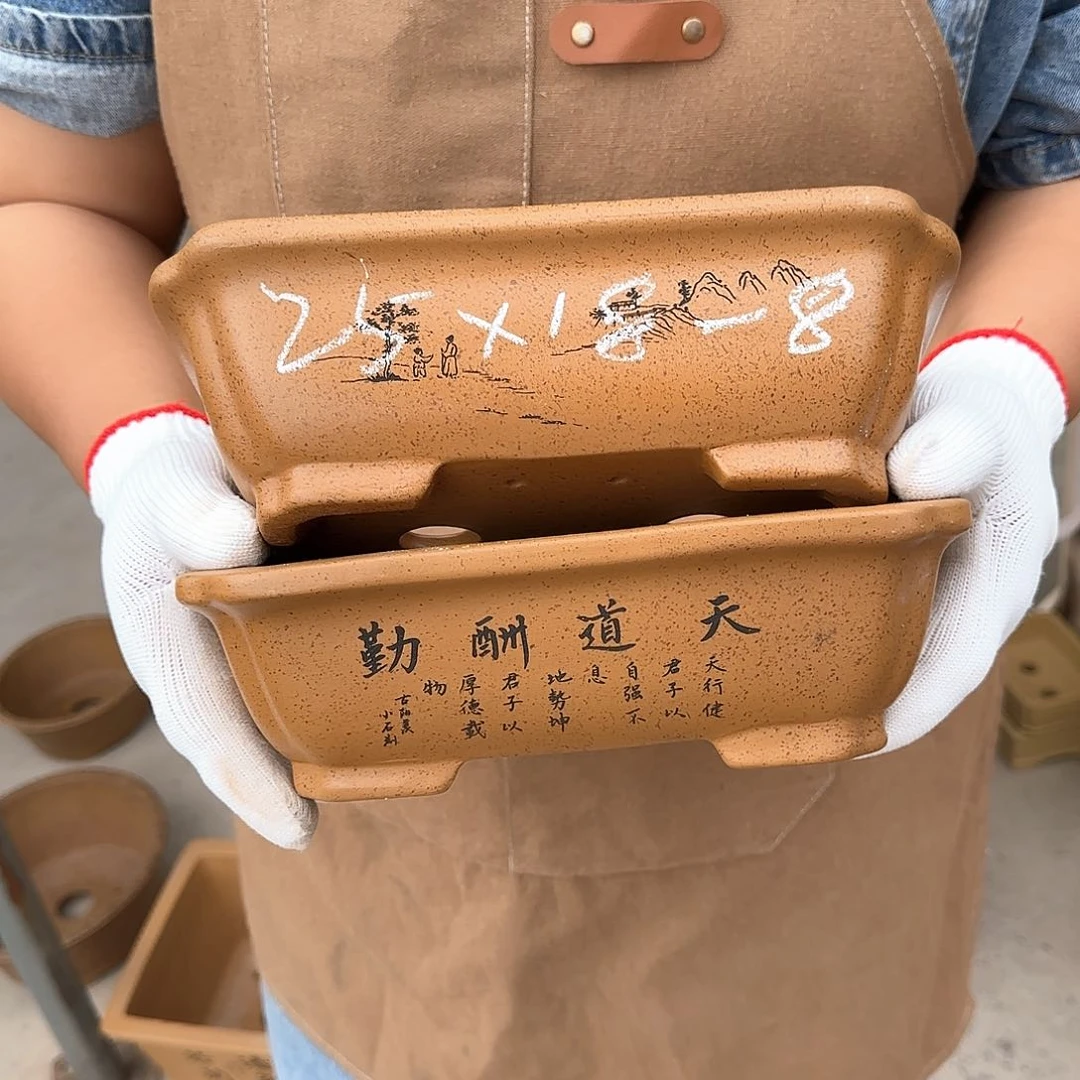 紫砂花盆这是我的