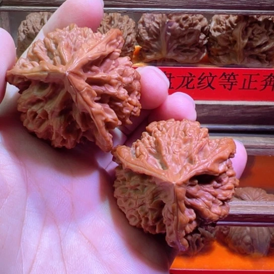 土豪级正奔全品官帽48边52高