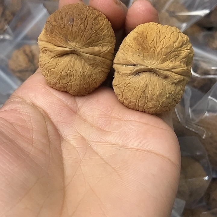 文玩核桃把件云南铁核桃基地8