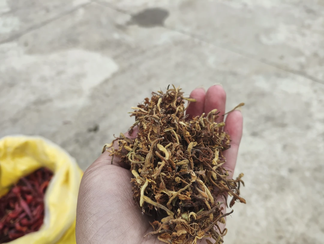 头茬高山无硫干金银花茶可泡水饮用