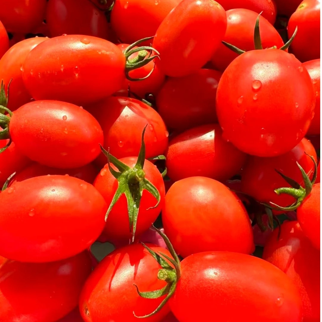 【新年千禧果】整箱3斤（净果2.5斤左右）广东电白纯甜无酸  儿童孕妈可吃