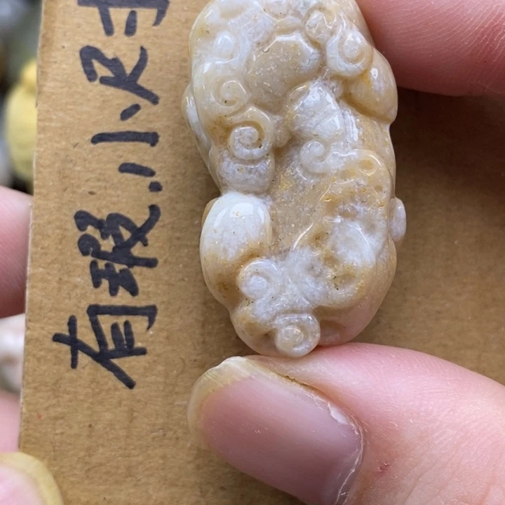 硅化珊瑚（珊瑚玉）未镶嵌颈饰