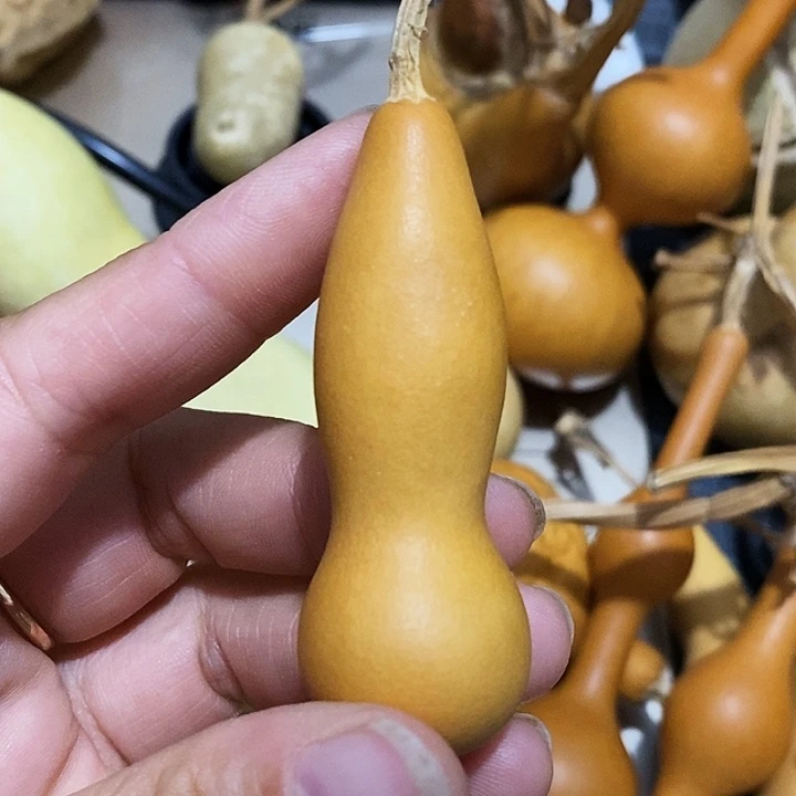 l***a葫芦村等自然村落为