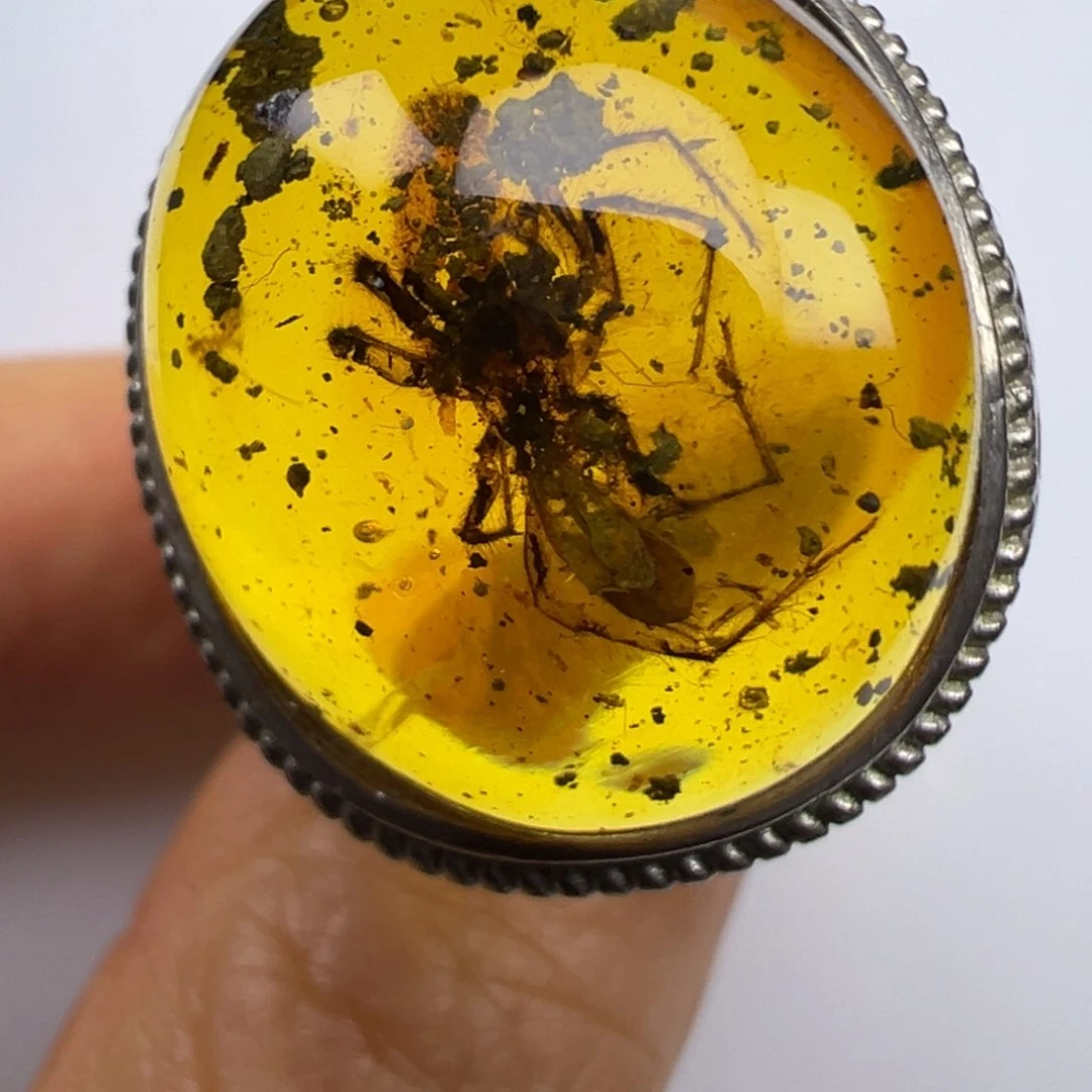 未镶嵌琥珀裸石琥珀虫珀蜘蛛戒指