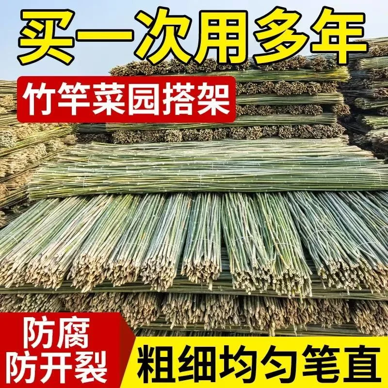 竹竿种菜支架批发菜园架子竹竿篱笆庭院围栏栅栏竹子搭架专用杆