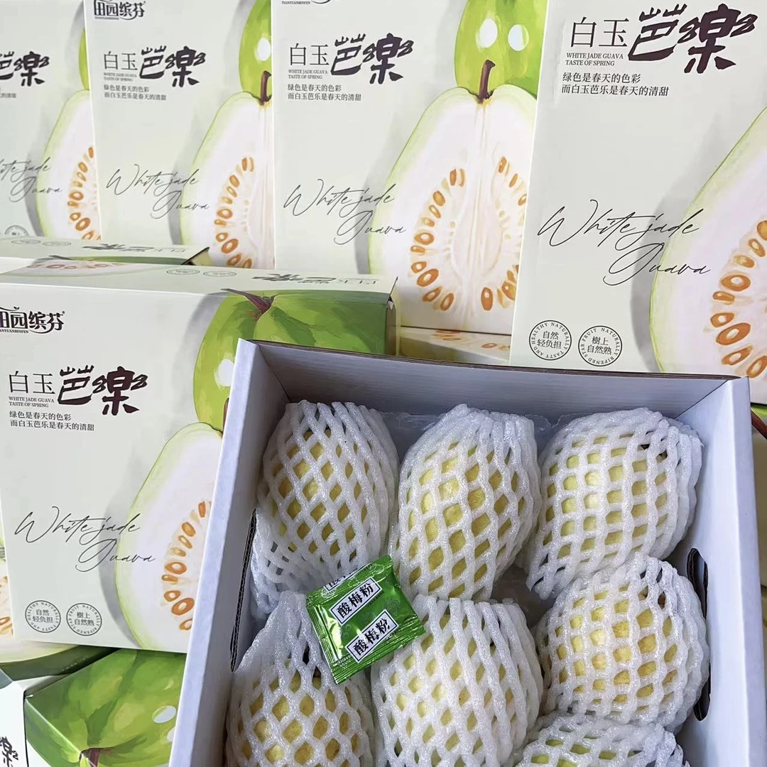 田园缤芬 树熟奶油白玉芭乐 净重3斤8颗左右