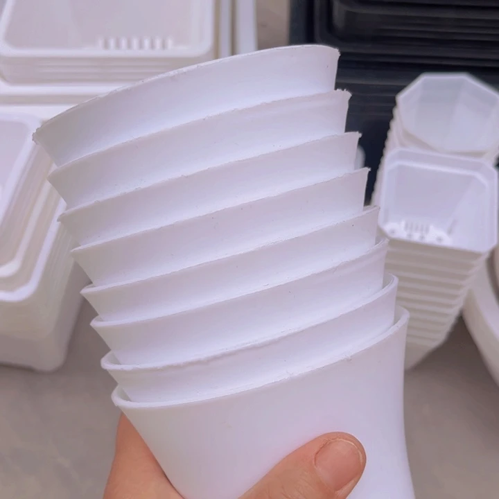 白万象口11高10一组10