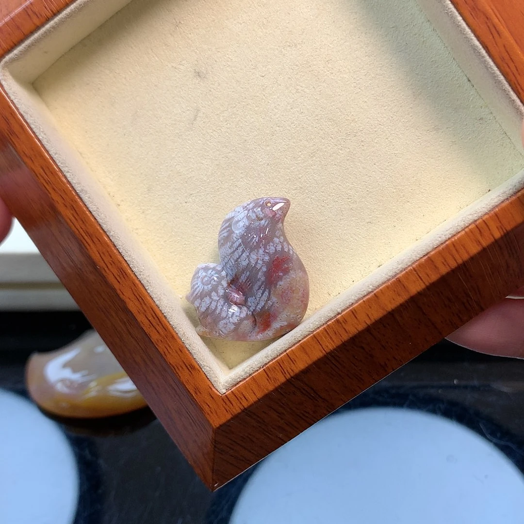 颈饰未镶嵌硅化珊瑚（珊瑚玉）35