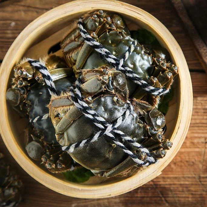 【活蟹】江苏精品大闸蟹 4.0-3.7两公蟹+3.0-2.7两母蟹 拍8只送2只到手10只 顺丰京东空运