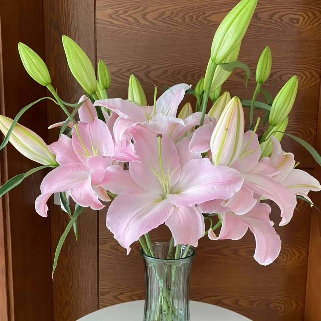 粉天使【粉色系色百合】 【0度以下气温不拍保温棉不售后】