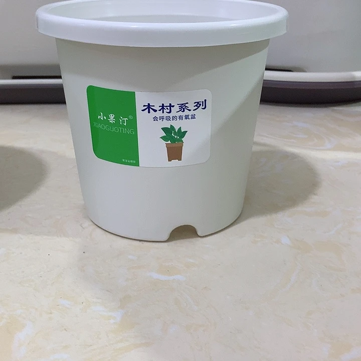 小果汀15口白10个无托