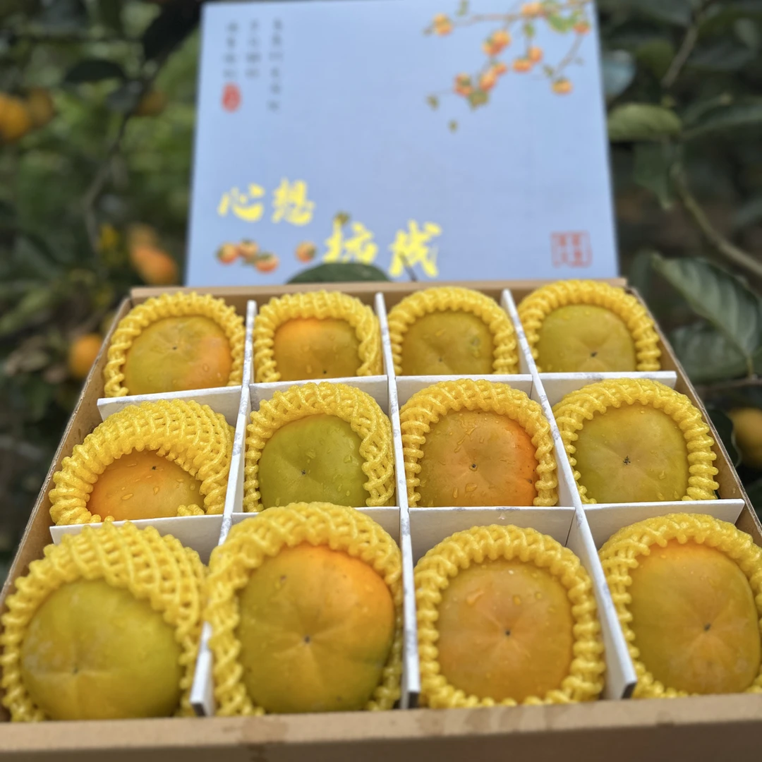 甜脆柿云南保山高原新鲜现摘脆甜柿子应季次郎脆柿中秋国庆礼盒