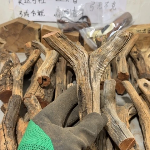 大果紫檀（缅甸花梨）N*