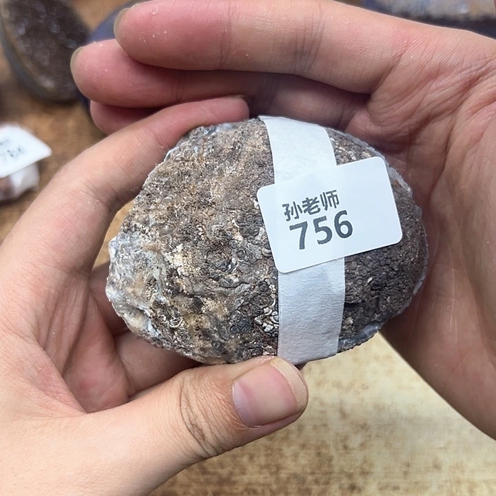 玛瑙/玉髓珠宝奇石未镶嵌