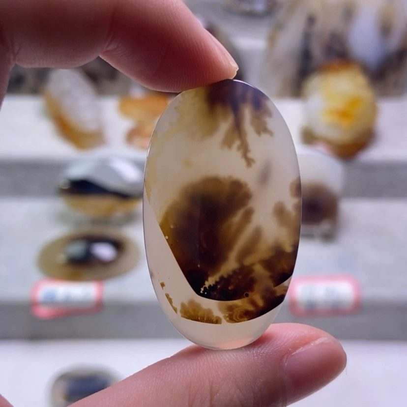 【闪购商品】未镶嵌玛瑙/玉髓珠宝奇石