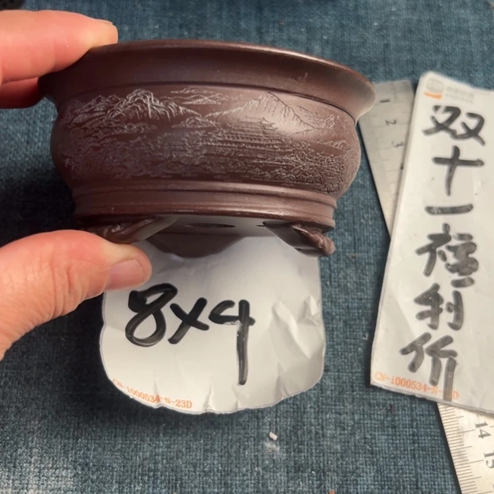 呜呜呜太好看太好看