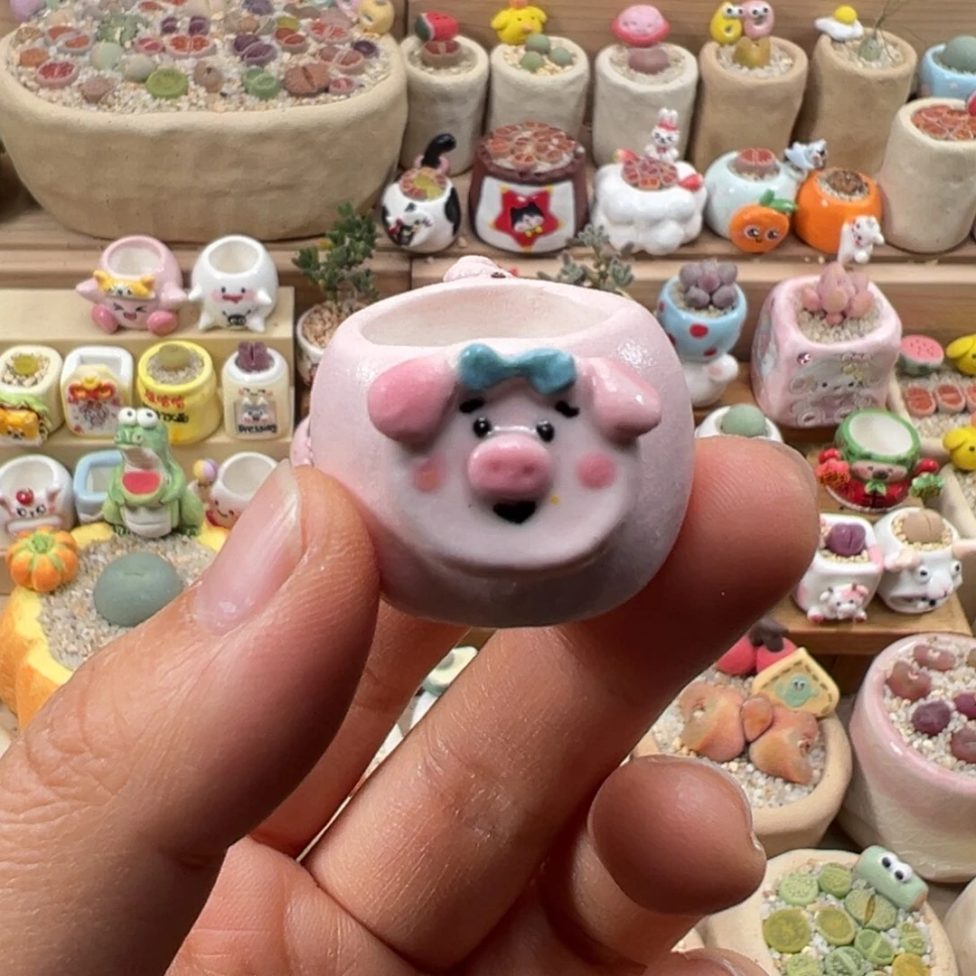 多肉植物112号拇指盆