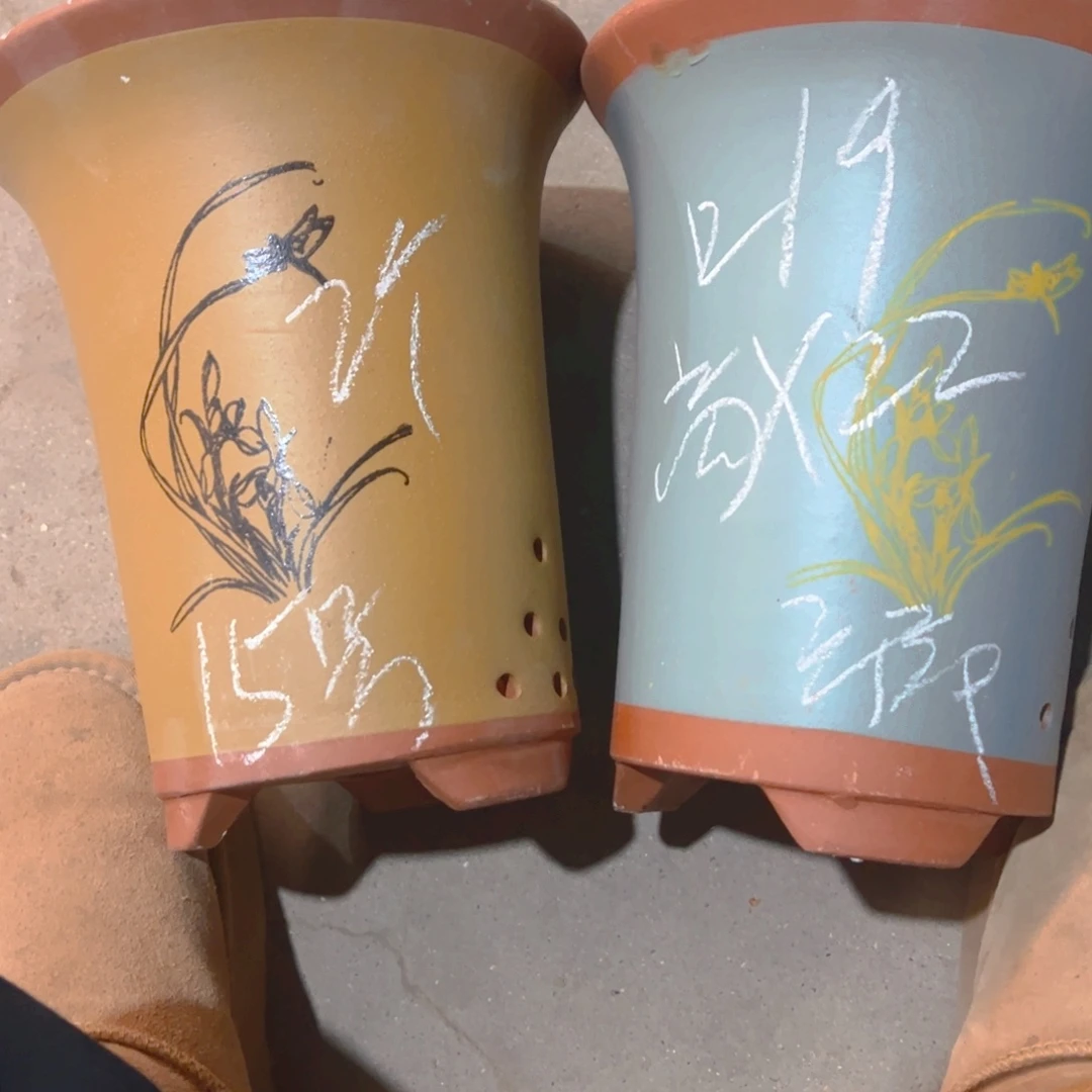 紫砂15………………………………