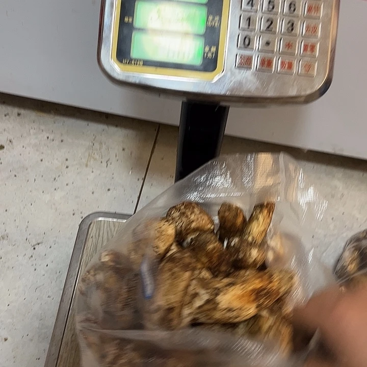 姜***比云南野生菌各种新鲜菌菇中国大陆