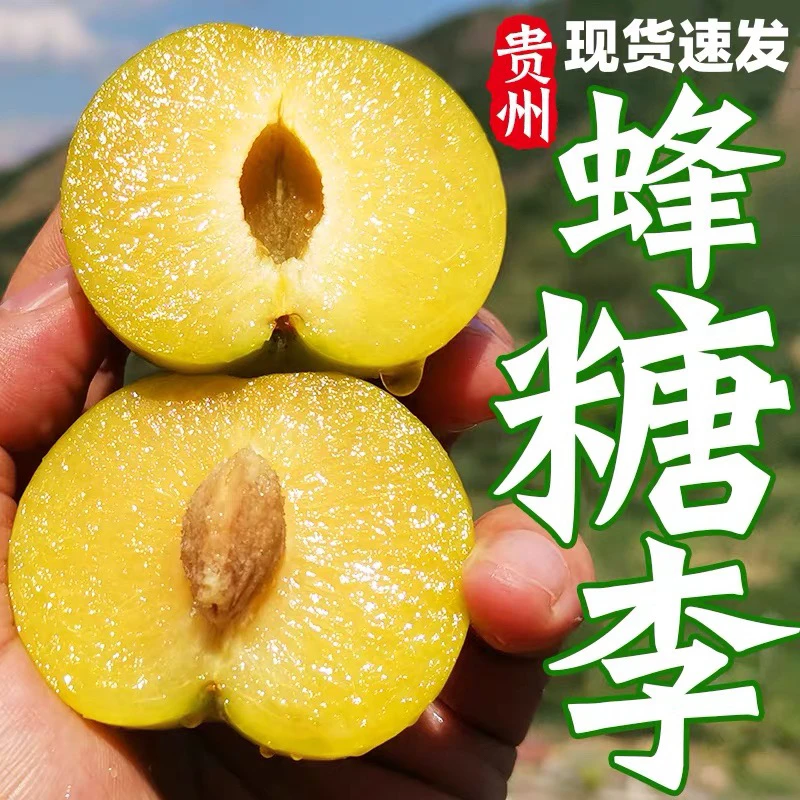 【惊艳口感】贵州六马蜂糖李1斤 纯甜纯甜纯甜 口感惊艳