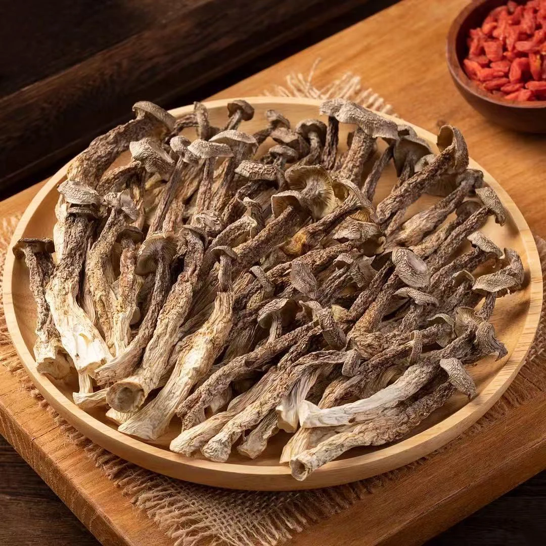 头茬高山鹿茸菇干货无熏硫炒肉煲汤食材