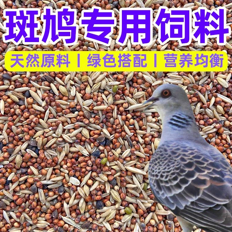 斑鸠专用幼鸟饲料小鸽子幼鸽粮食赛鸽粮高营养鸟类无玉米豌豆杂粮