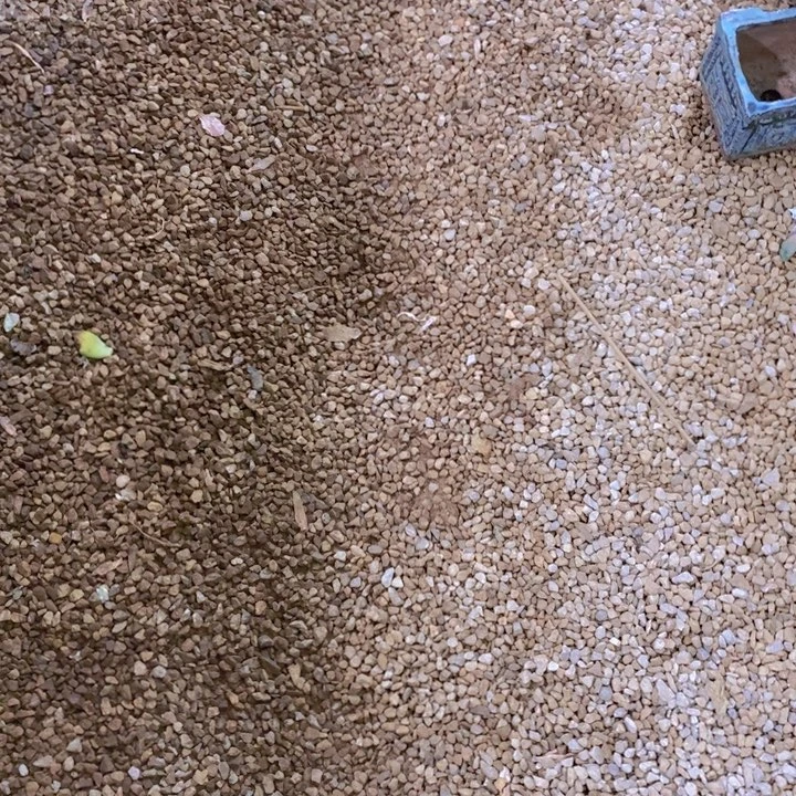 我要做自己爱你做